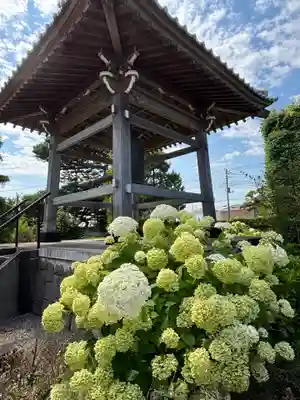 大福寺(埼玉県)