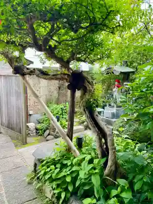法林寺(東京都)
