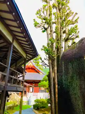 楽法寺(雨引観音)(茨城県)