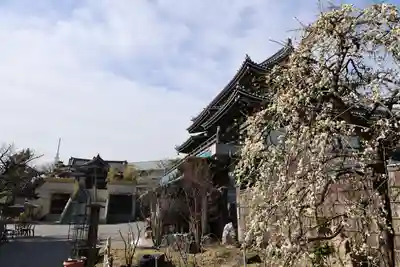 燈明寺(東京都)