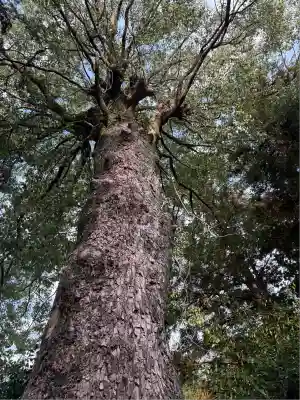 伊豆神社(滋賀県)