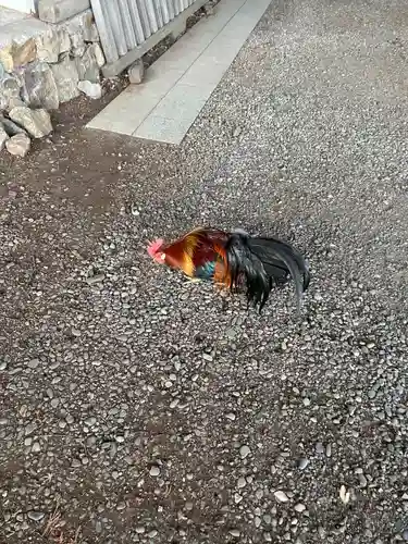 大甕神社(茨城県)