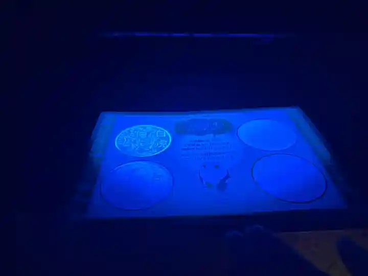 平安神宮(京都府)