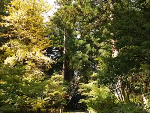 雲洞庵(新潟県)
