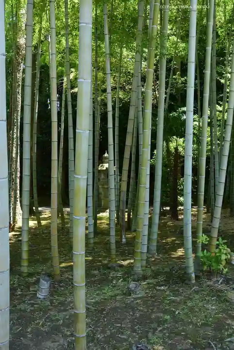 天台宗 長窪山 正覚寺(神奈川県)