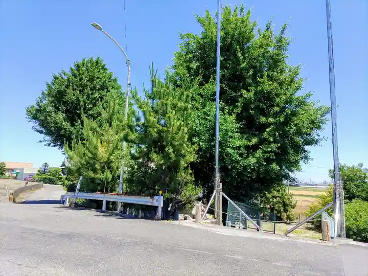 富島社(愛知県)