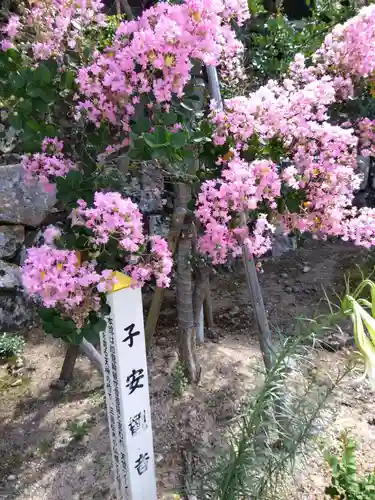 正高寺 子安観音(福井県)