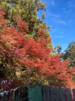 松尾寺(奈良県)
