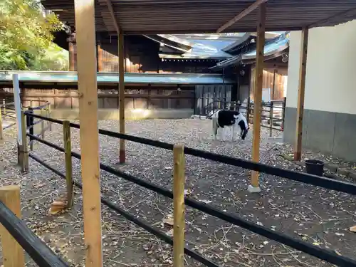 平塚八幡宮(神奈川県)
