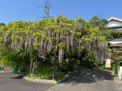 子安地蔵寺(和歌山県)