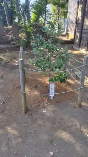 石座神社(神奈川県)