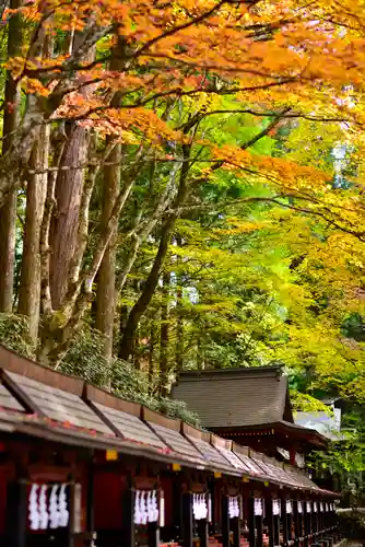三峯神社(埼玉県)