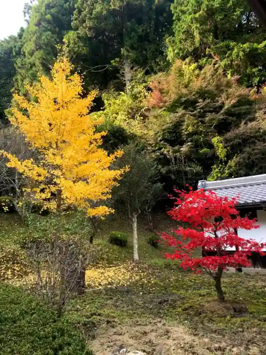 八咫烏神社の自然