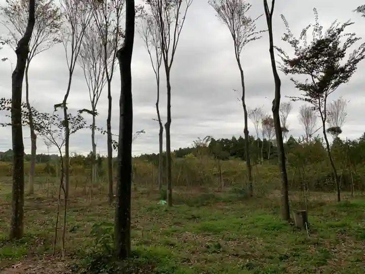 青龍大権現(千葉県)