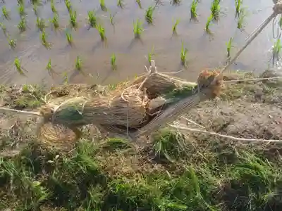 御船神社のその他建物
