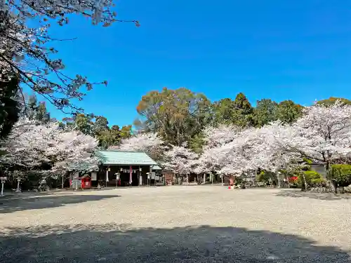 小津神社の建物その他