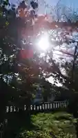 諏訪神社の自然