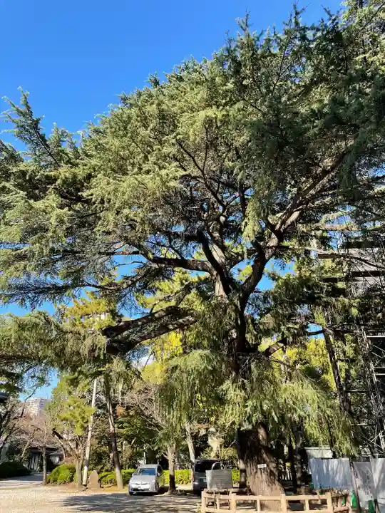 増上寺(東京都)