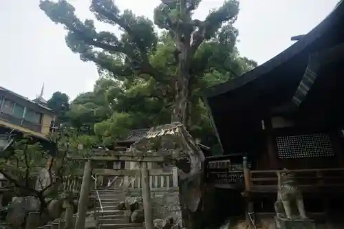 艮神社の建物その他