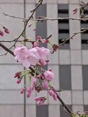 熊野神社(東京都)