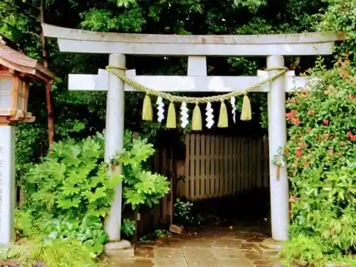 駒木諏訪神社の鳥居