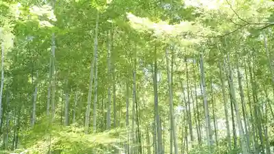 圓光寺(京都府)