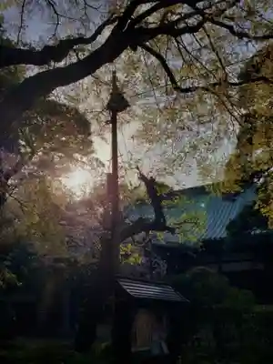 龍光寺(東京都)
