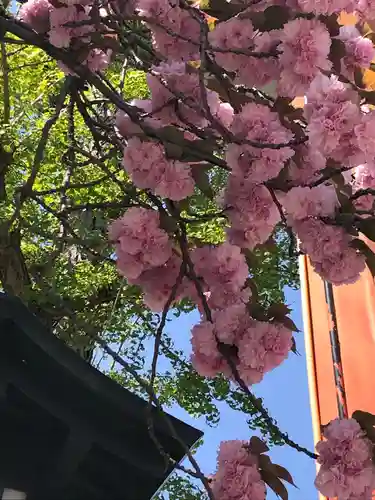 高幡不動尊　金剛寺の自然