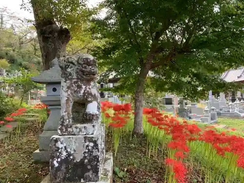 八幡神社の狛犬