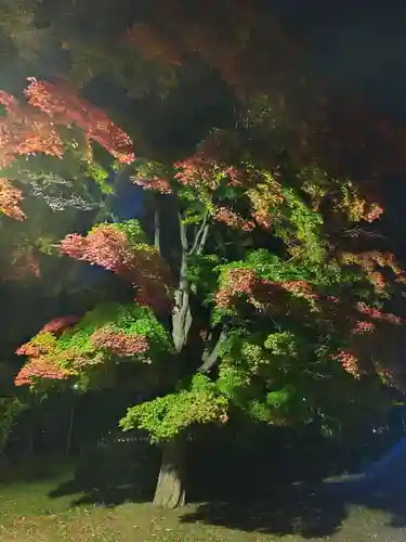 厚別神社(北海道)