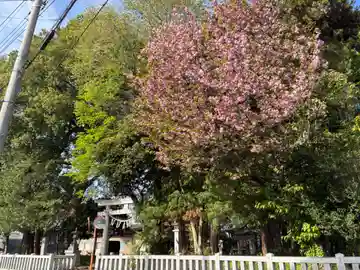 地主神社(千葉県)