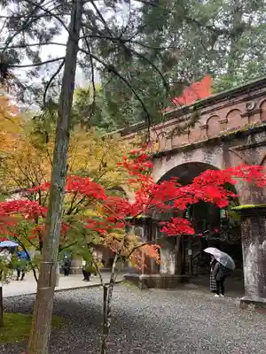 南禅寺(京都府)