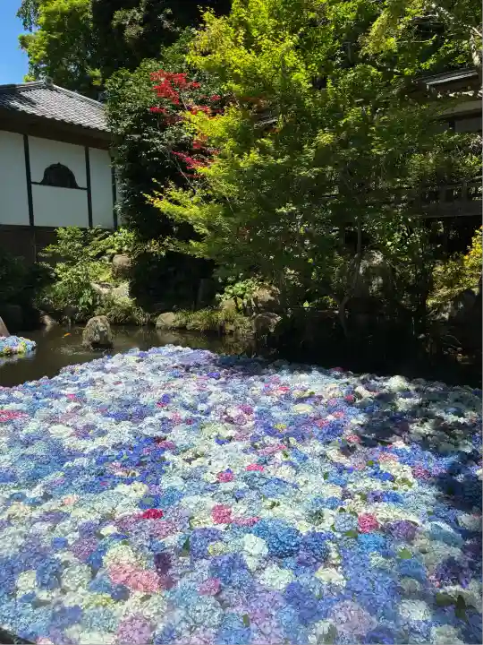 楽法寺(雨引観音)(茨城県)