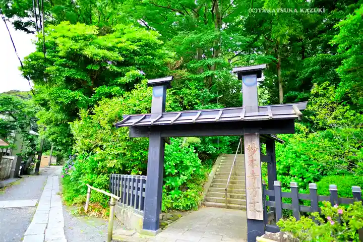 妙本寺(神奈川県)