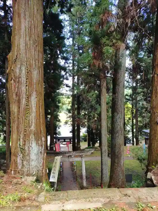 大宮温泉神社(栃木県)