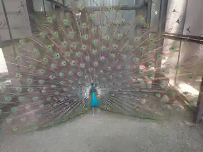 岩槻久伊豆神社(埼玉県)