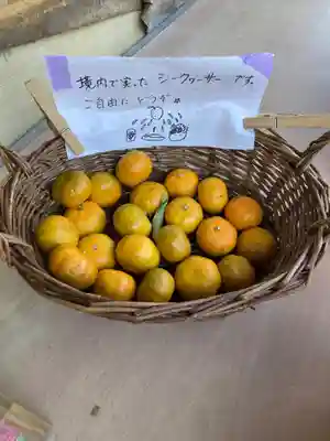 光照寺(神奈川県)