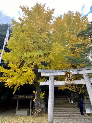 石清水八幡宮の鳥居