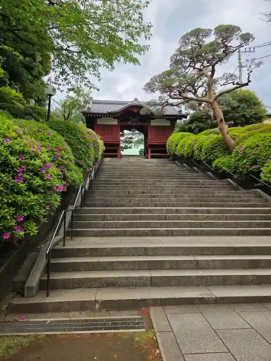 護国寺の{uncategorized: "未分類", other: "その他", undefined: "問題あり", building: "その他建物", grave: "お墓", sacred_gate: "鳥居", guardian: "狛犬", statue: "像", buddha: "仏像", history: "歴史", nature: "自然", garden: "庭園", animal: "動物", pagoda: "塔", temizu: "手水舎", mountain_gate: "山門・神門", sanctuary: "本殿・本堂", subordinate: "末社・摂社", art: "芸術", scenery: "景色", jizo: "地蔵", ema: "絵馬", goshuin: "御朱印", omikuji: "おみくじ", items: "授与品その他", amulet: "お守り", goshuincho: "御朱印帳", eats: "食事", festival: "お祭り", votive_dance: "神楽", shichigosan: "七五三参", wedding: "結婚式", experience: "体験その他", initially: "初詣", around: "周辺", anti_infection: "感染症対策"}