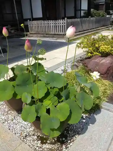 時宗総本山 遊行寺（正式：清浄光寺）(神奈川県)