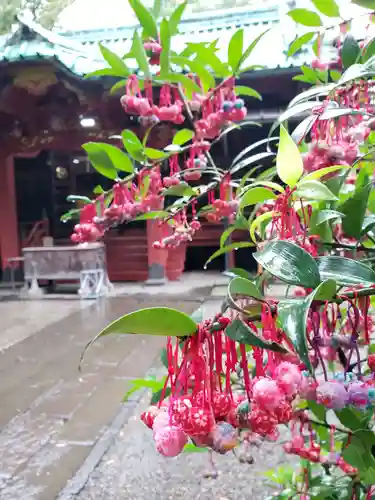 赤坂氷川神社のその他建物
