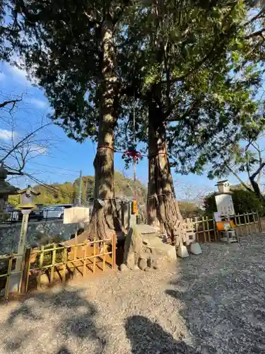 武雄神社(佐賀県)