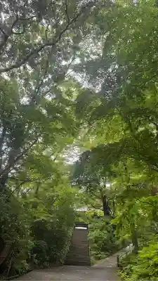 妙本寺(神奈川県)