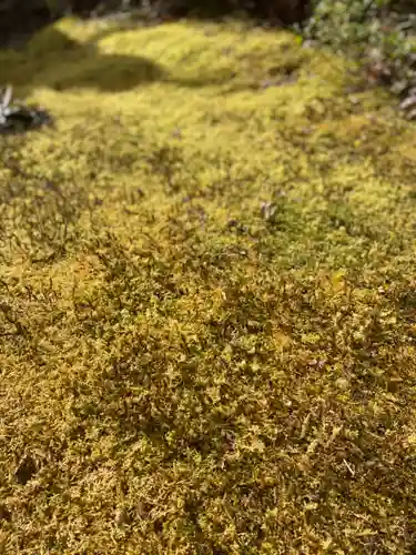 徳善院明王密寺の自然