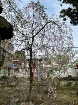 神炊館神社 ⁂奥州須賀川総鎮守⁂(福島県)