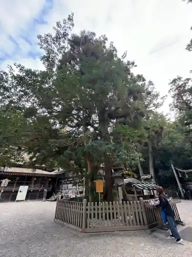 大神神社(奈良県)