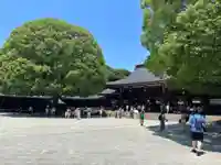 明治神宮(東京都)