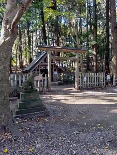 宝登山神社(埼玉県)