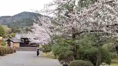 隨心院（随心院）(京都府)