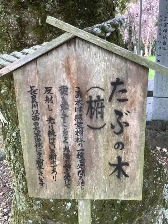 橿森神社の自然